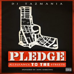 Pledge Allegiance To The Streets 26